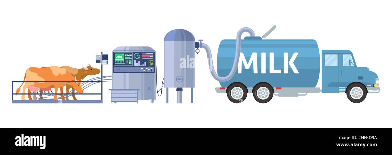 Dairy farm cow milking equipment, tanker truck transporting milk to local factory, vector illustration. Milk production. Stock Vector
