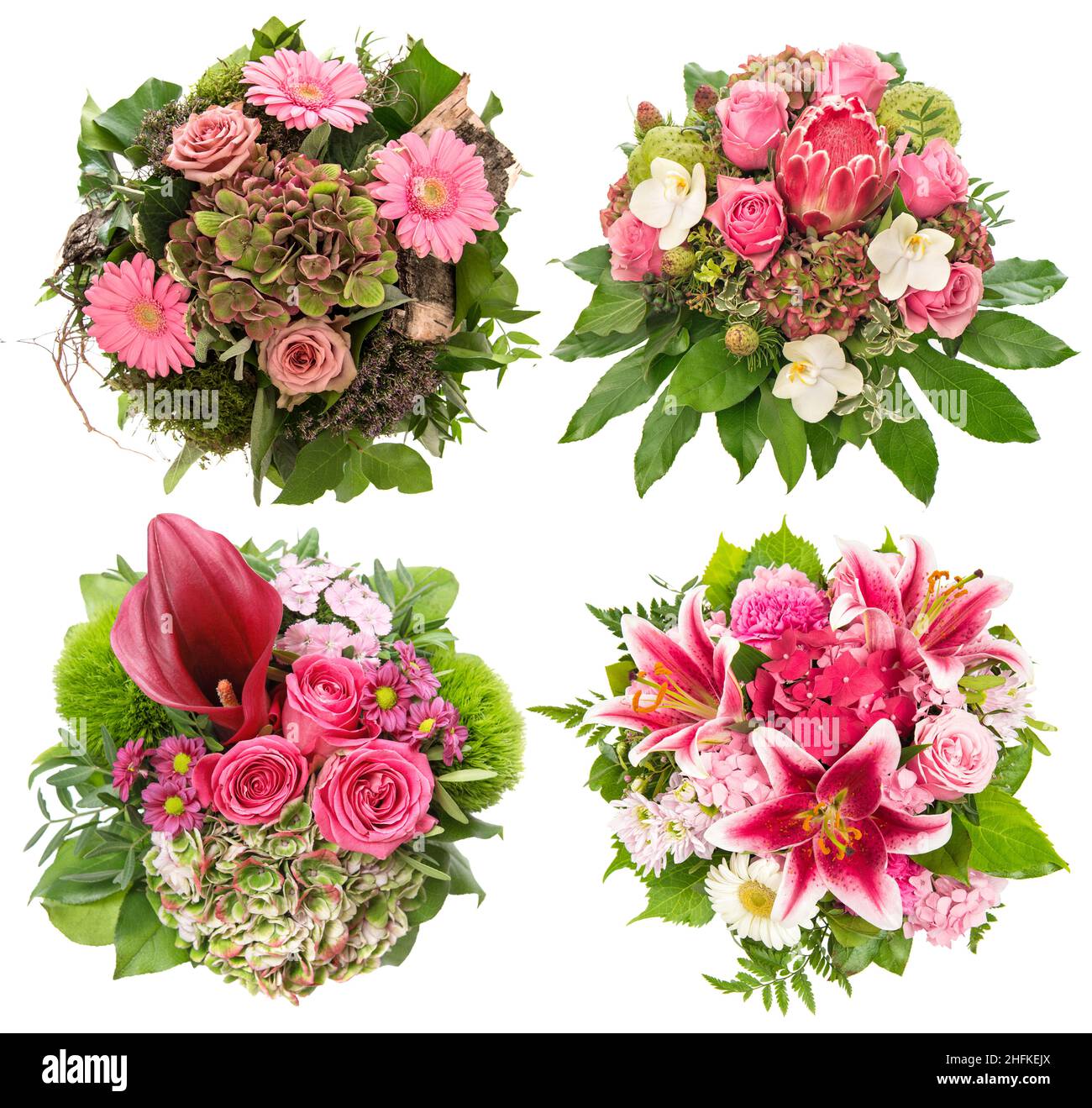 Lily flowers and green foliage Cut Out Stock Images Pictures Alamy