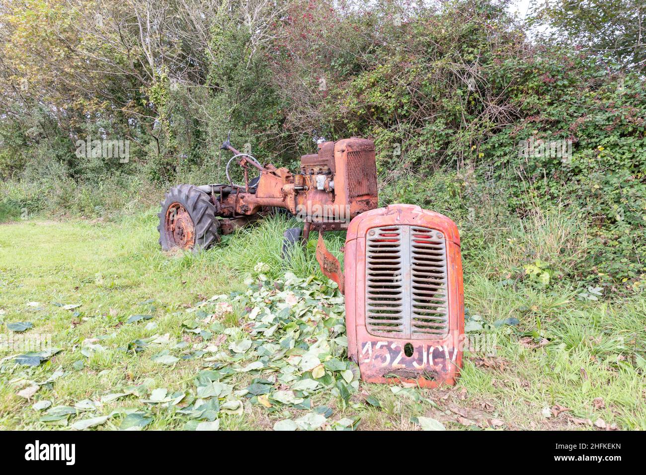 Tractor, rusty tractor, tractor, tractor graveyard, rusted tractor,farm tractor,classic tractor,oxidised,rusty,rusted,tractor,Cornwall, UK, England Stock Photo