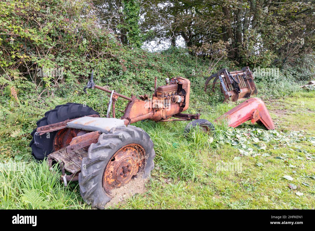 Tractor, rusty tractor, tractor, tractor graveyard, rusted tractor,farm tractor,classic tractor,oxidised,rusty,rusted,tractor,Cornwall, UK, England Stock Photo
