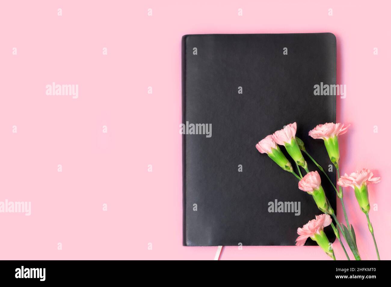 Above view of black empty notebook and carnation flowers on soft pink background with copy space. Stock Photo