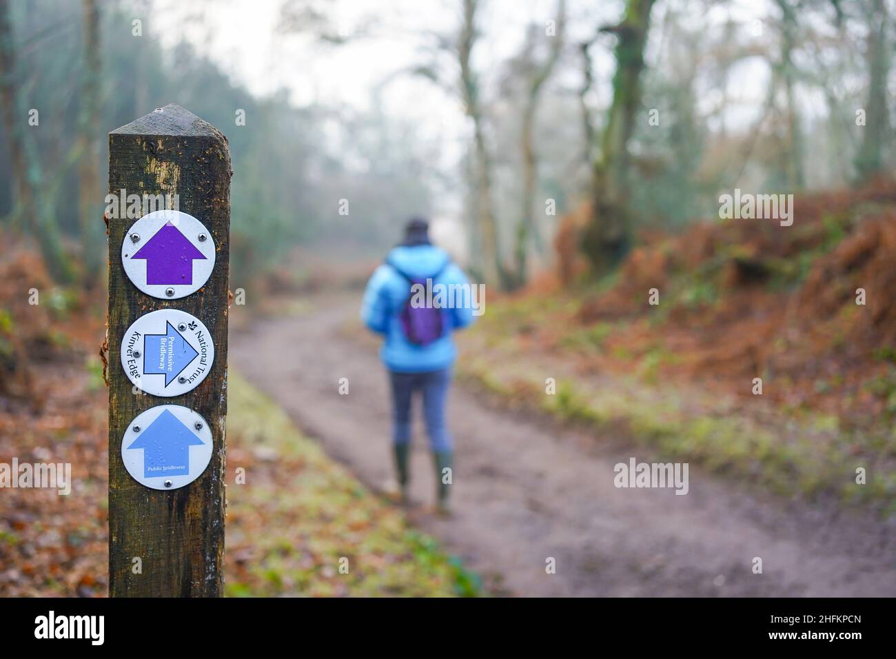 Shared trail sign on a post on a woodland trail with a walker Stock Photo