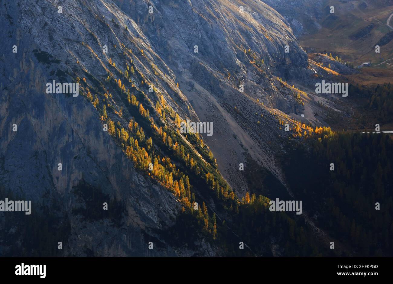 Langkofel, Berg, Fels,  Dolomiten, Panorama mit Bergwald und Bäumen mit  herbstlicher Lichtstimmung in Südtirol in den Dolomiten in Italien Stock Photo