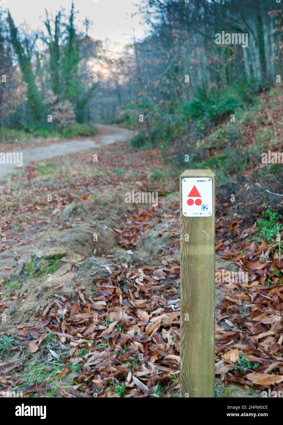 Route sign post red IMBA direction mark on forest hiking trail in