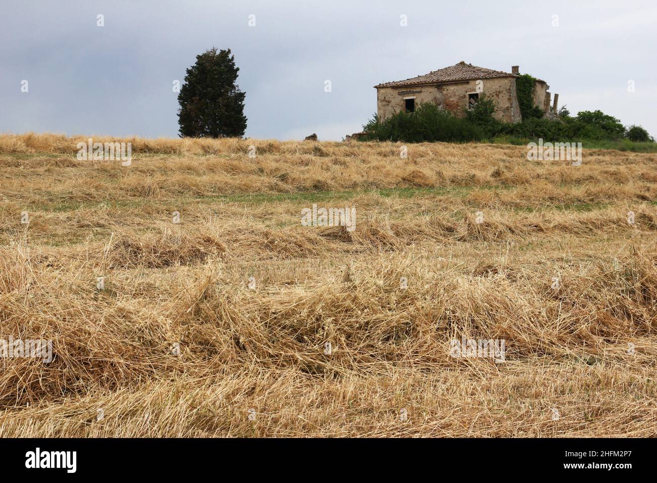 The typical old stone house, now a ruin, standing in Italy in Tuscany on the field covered by hay. Stock Photo
