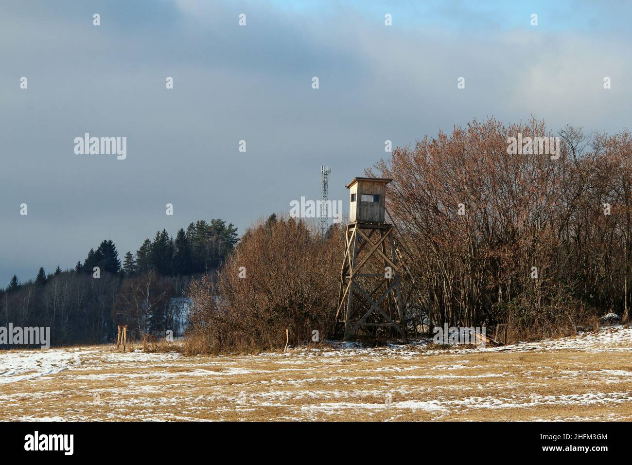 The field during the winter with the tree stand hidden in the trees. The huntsmen use it as a lookout and hiding place. Stock Photo