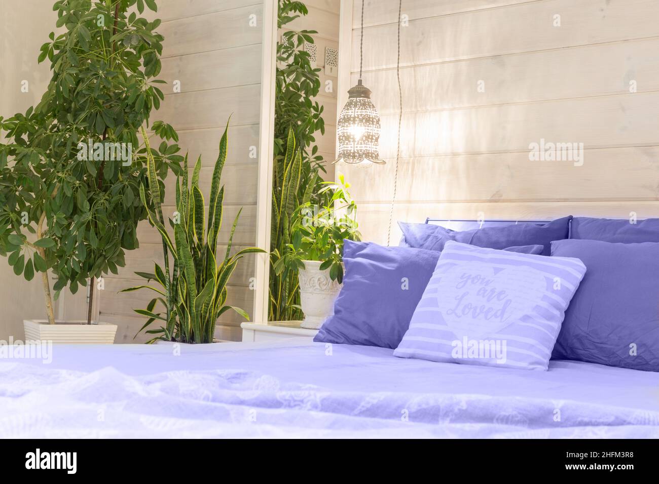 Biophilic design and plants. Scandinavian style bedroom interior in ...