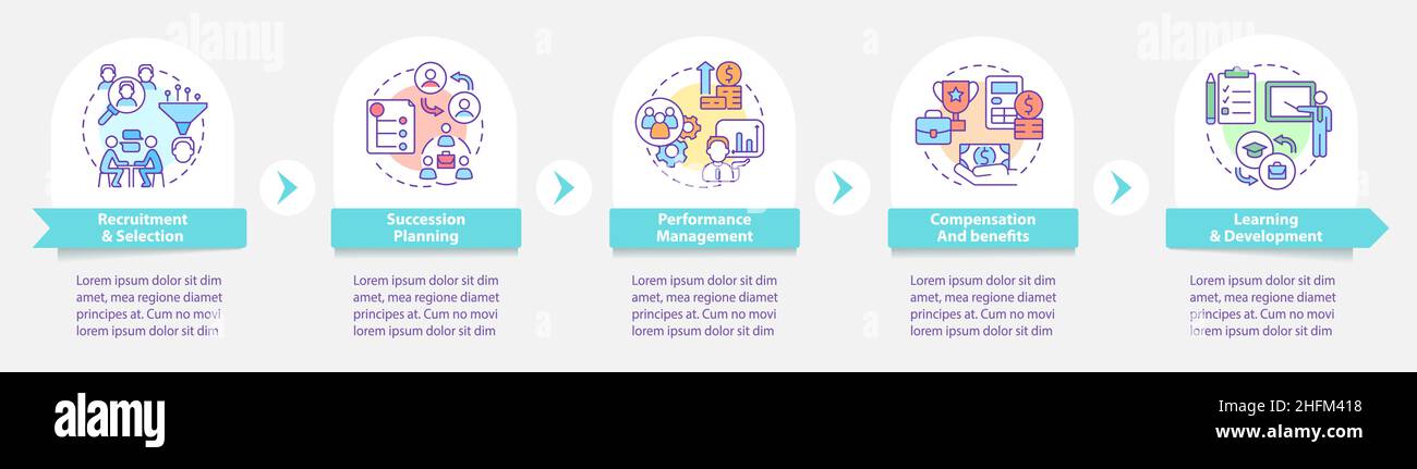 Human resources management basics round infographic template Stock ...