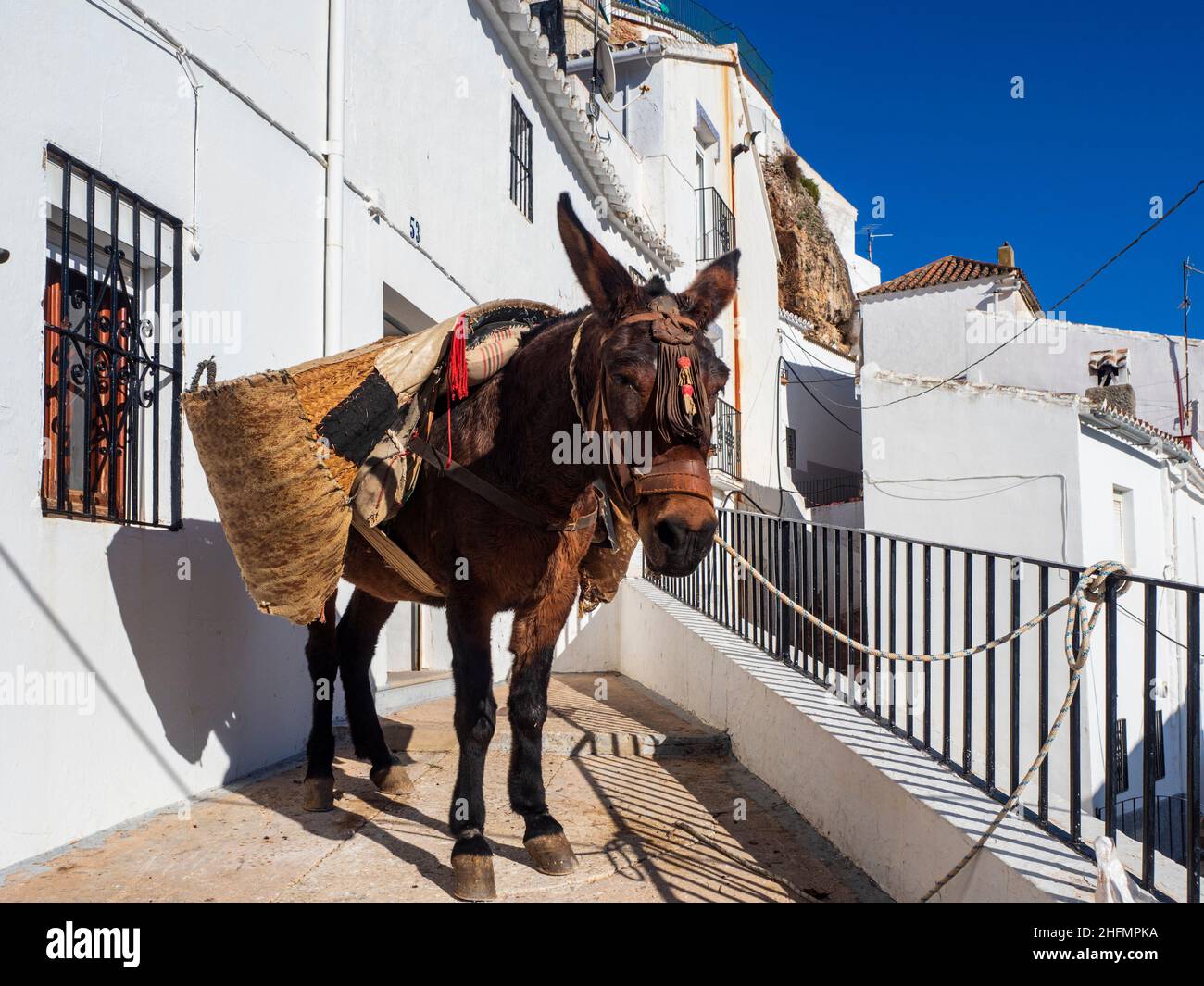 A donkey with saddlebags at the door of a typical house in Yunquera