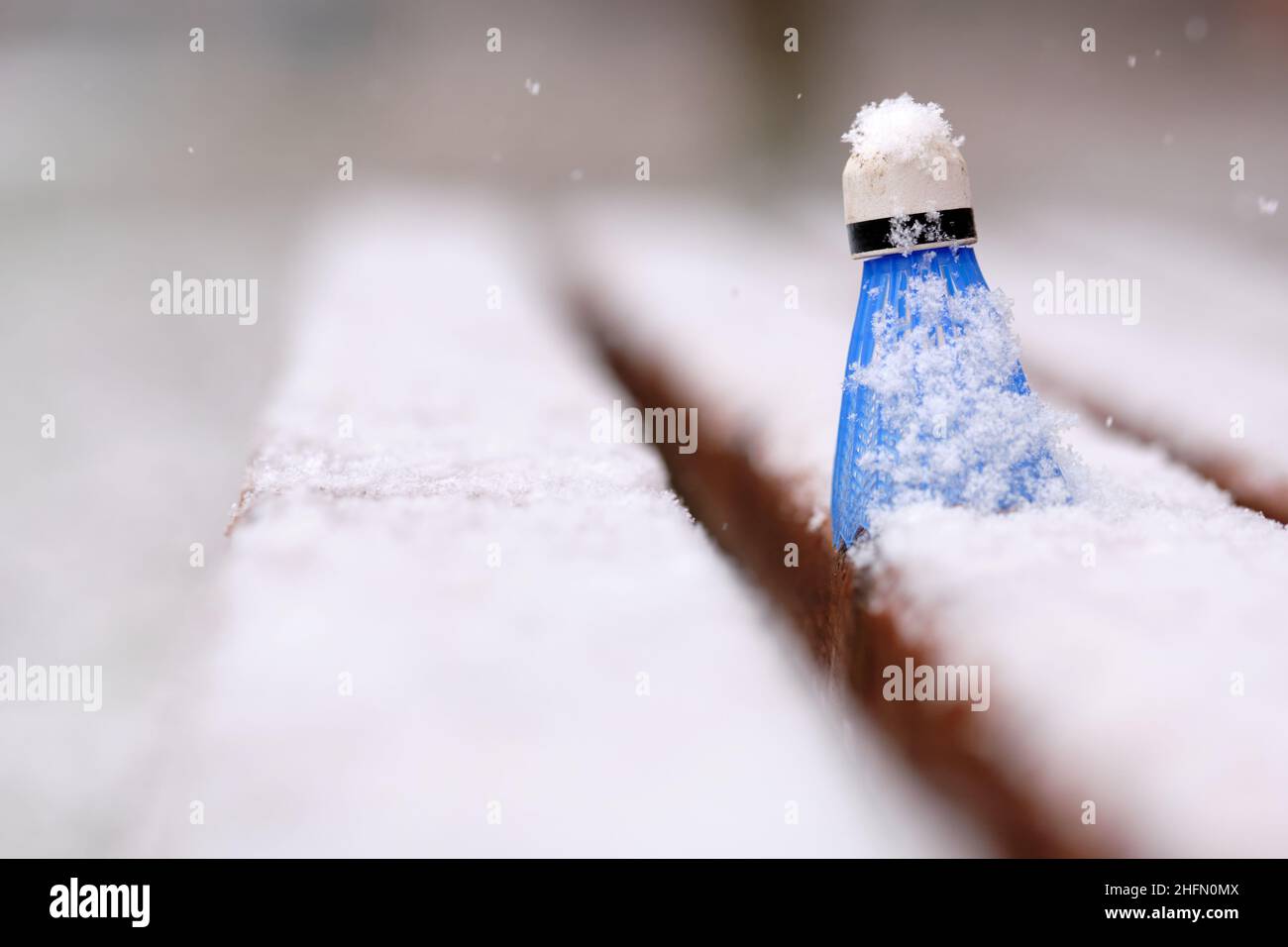 Close-up of a snow covered blue plastic shuttlecock standing upside down an a wooden bench in winter. Seen in Germany in January. Stock Photo