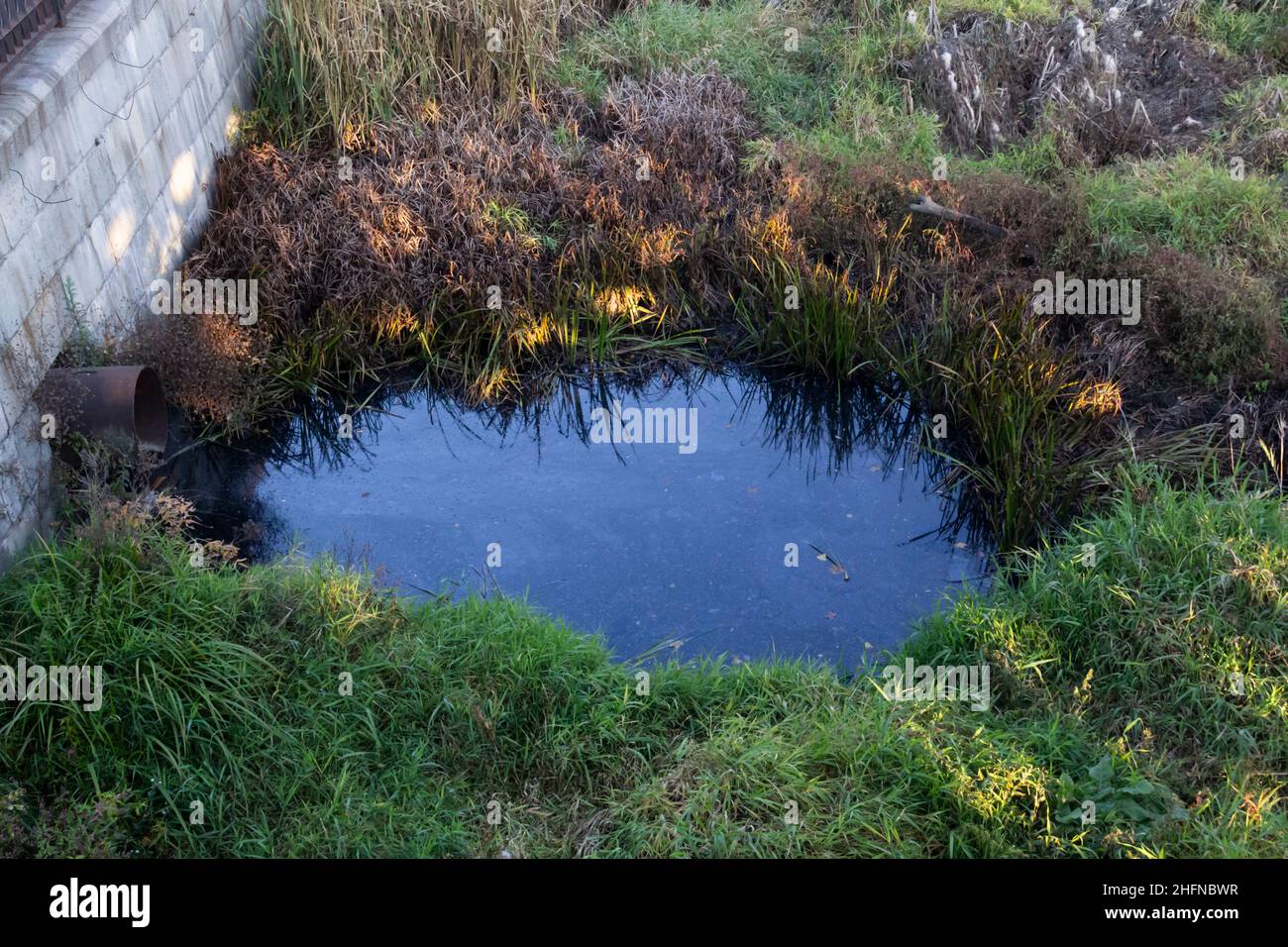 Pollution in the river In Ukraine in the city Sumy. A rusted metal culvert from which Runoff rainwater into a river. River overgrown with grass Stock Photo