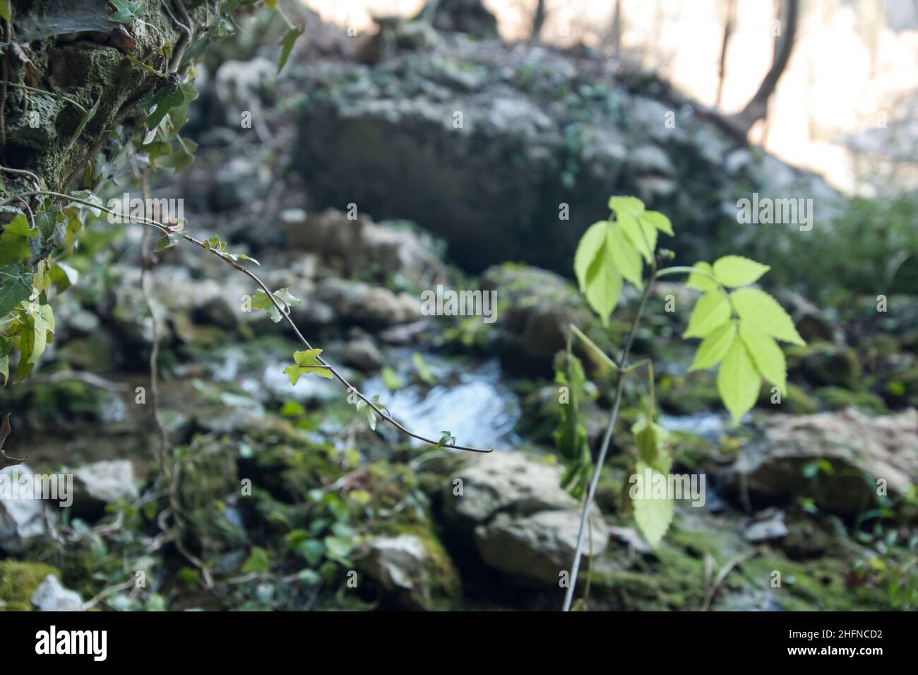 Water and rocks in the wild nature Stock Photo