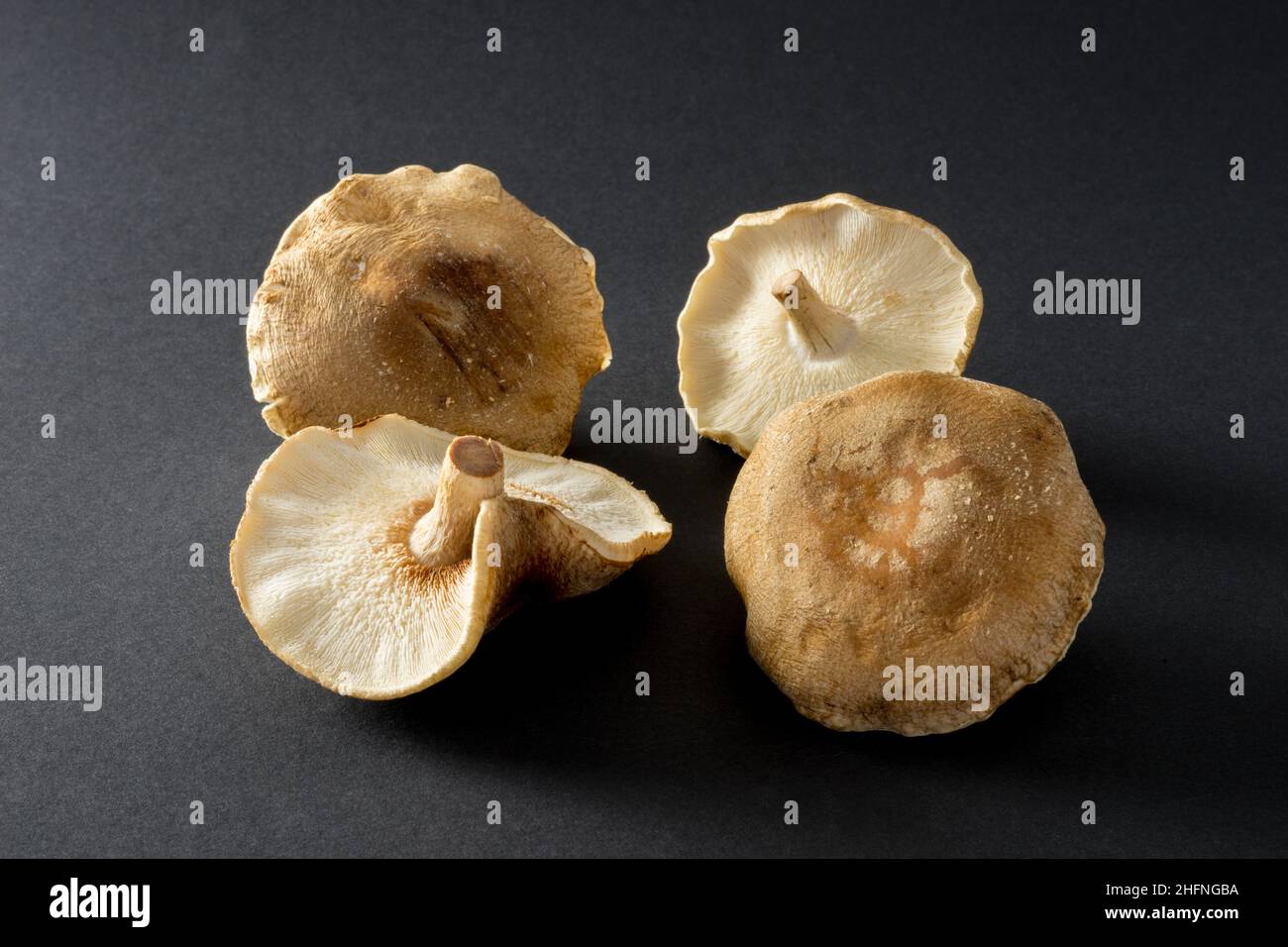 shiitake mushroom on black background Stock Photo