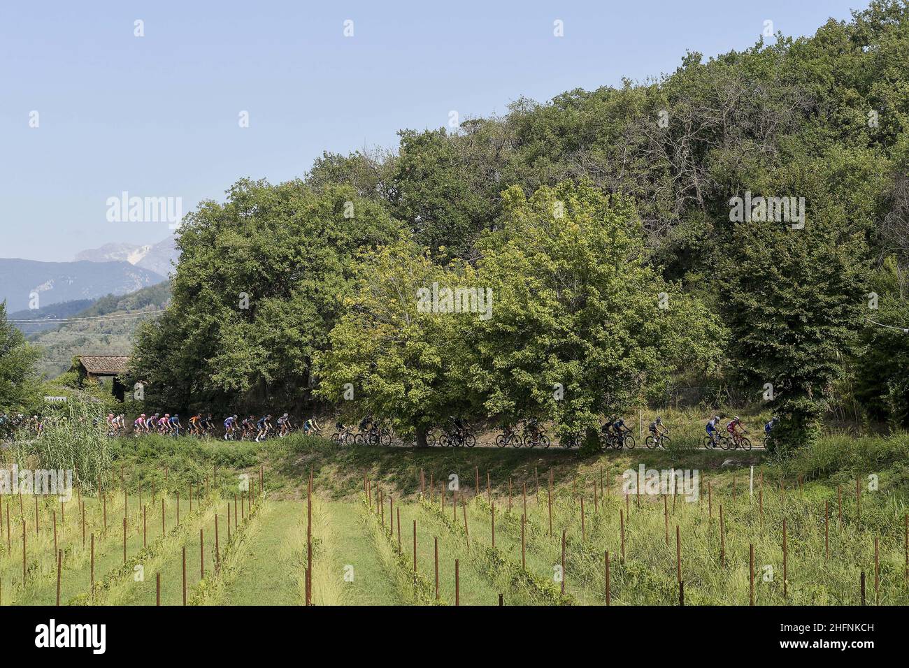 LaPresse - Marco Alpozzi September, 08 2020 Camaiore (Italy) Sport Cycling Tirreno Adriatico 55 edition - from Camaiore to Follonica - 201 km In the pic: during the race Stock Photo