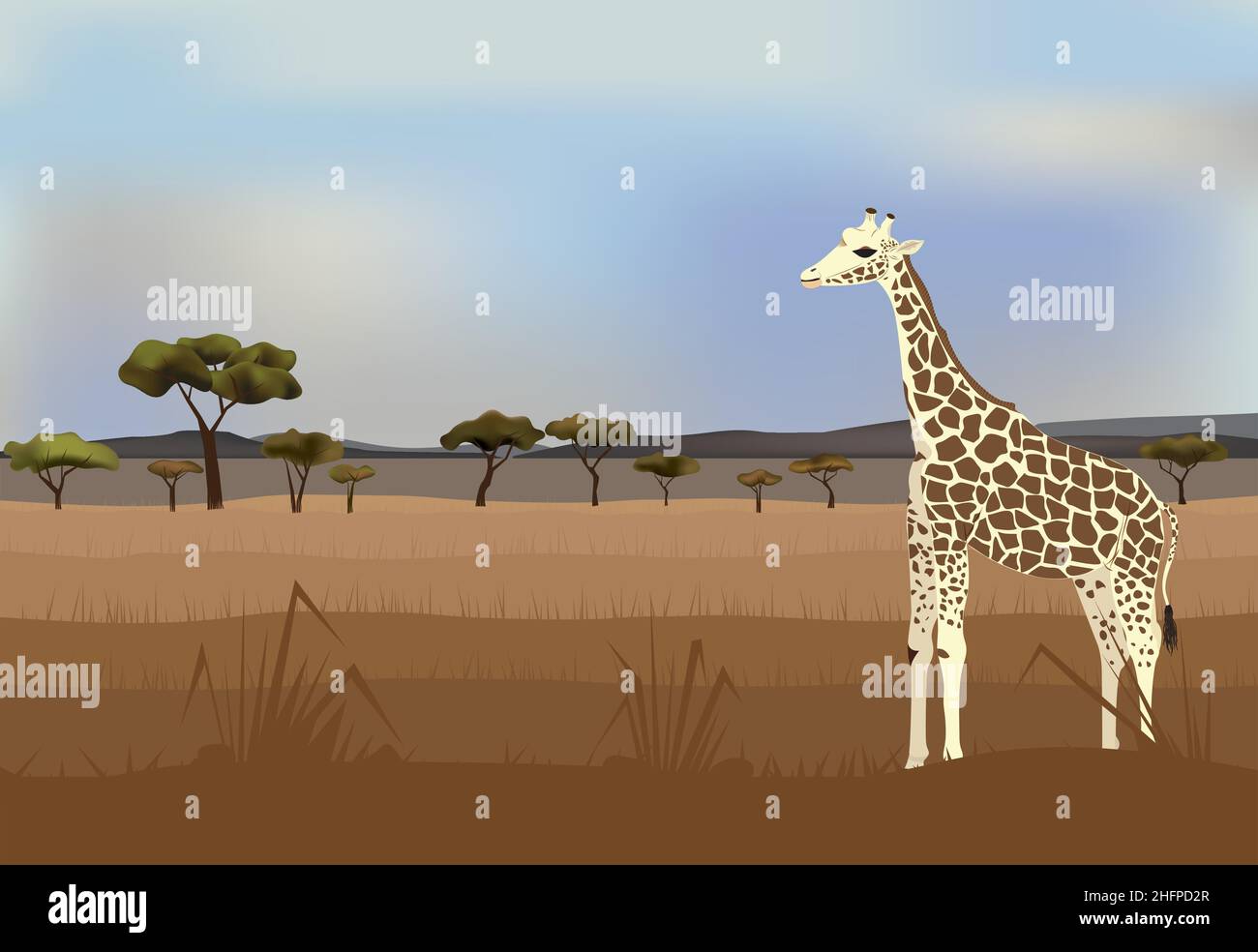 Giraffe in Grasslands A giraffe in savanna vector image Stock Vector