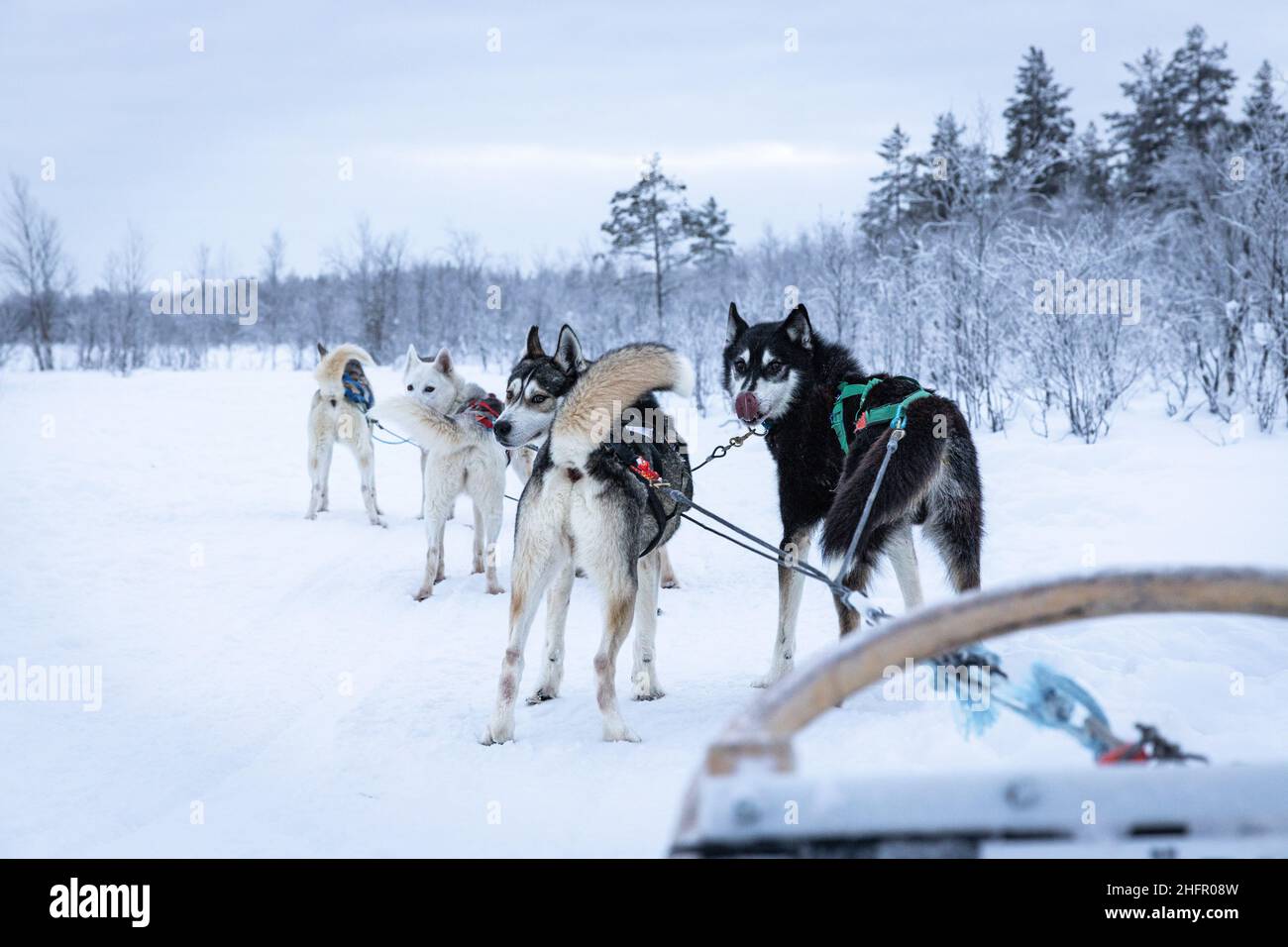 The Arctic Circle Stock Photo Alamy