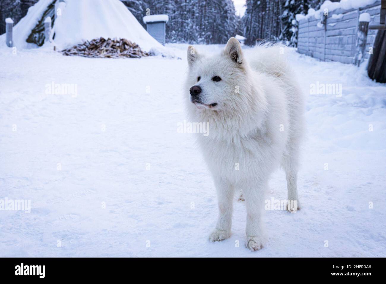 The Arctic Circle Stock Photo