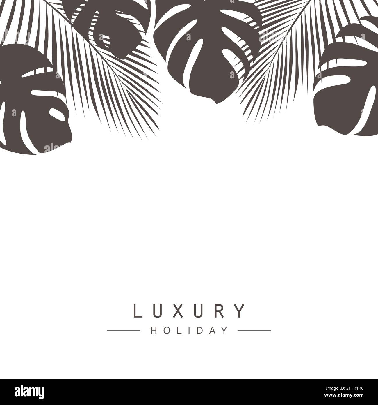 luxury holiday banner template with palm tree leaves Stock Vector