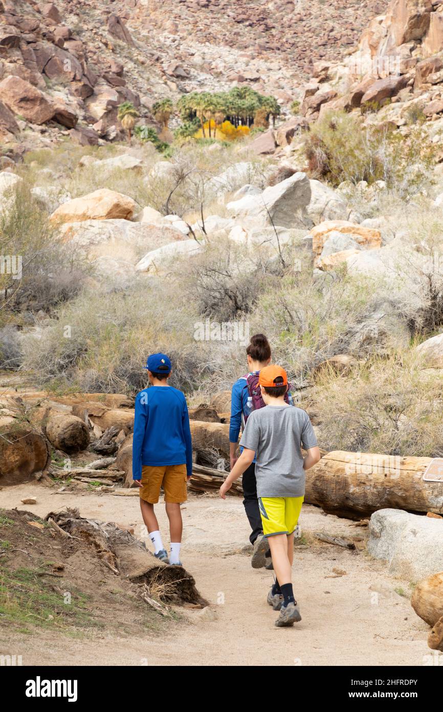 Family hiking the Borrego Palm Canyon Trail Anza Borrego Desert State Park California Stock Photo Alamy
