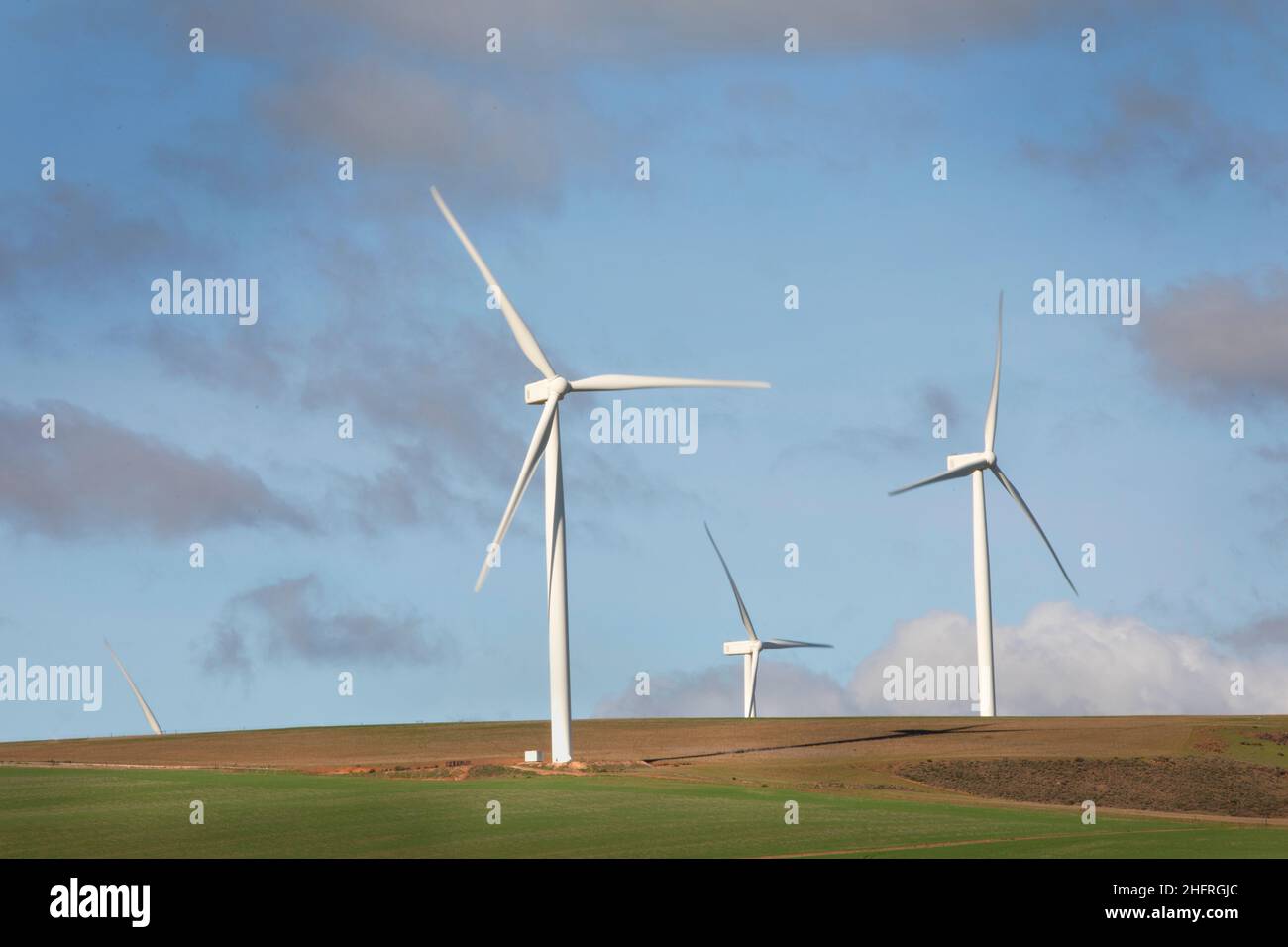 Power generating wind turbines in an agricultural field in South Africa. Stock Photo