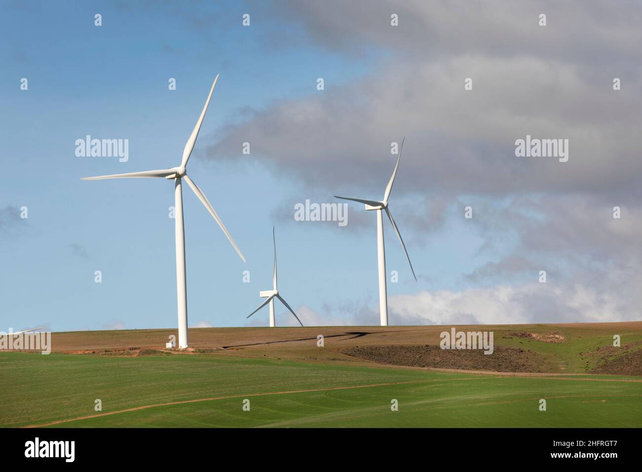 Power generating wind turbines in an agricultural field in South Africa. Stock Photo