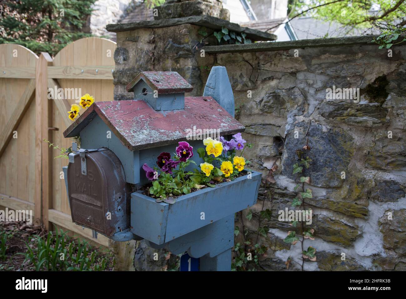 Pansies in a vintage mailbox planter box, Lancaster County, Pennsylvania, PA images USA, US