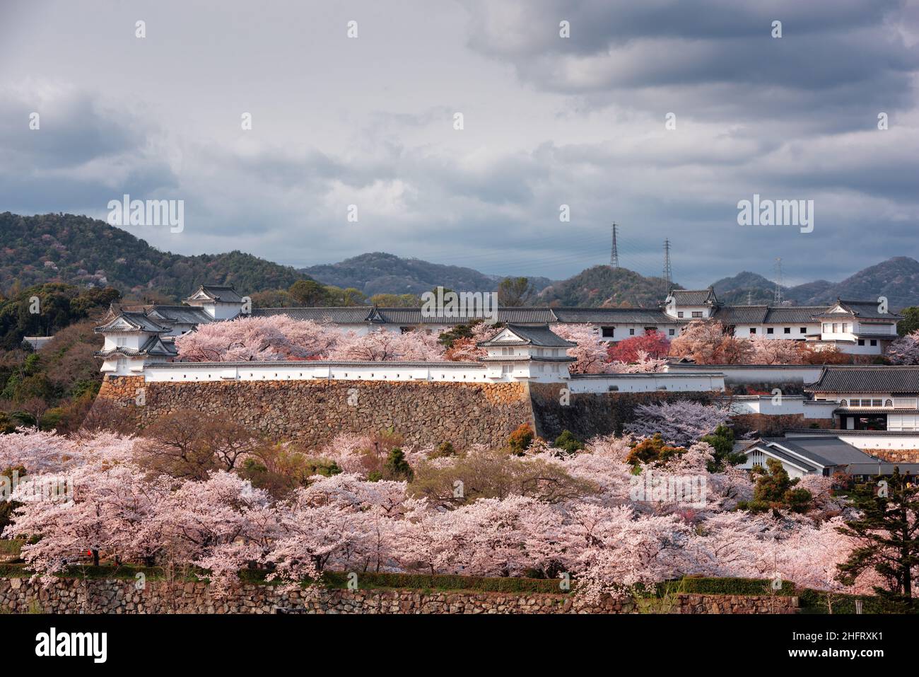 Himeji, Japan at Himeji Castle outer wall during spring cherry blossom season in the day. Stock Photo