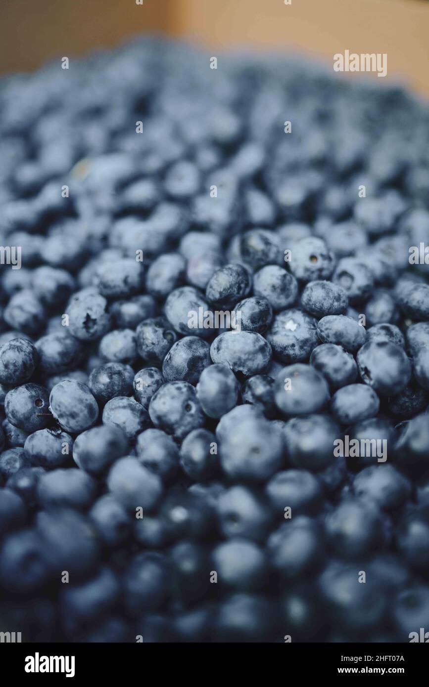 Closeup Blueberries Fresh Picked in Box Stock Photo
