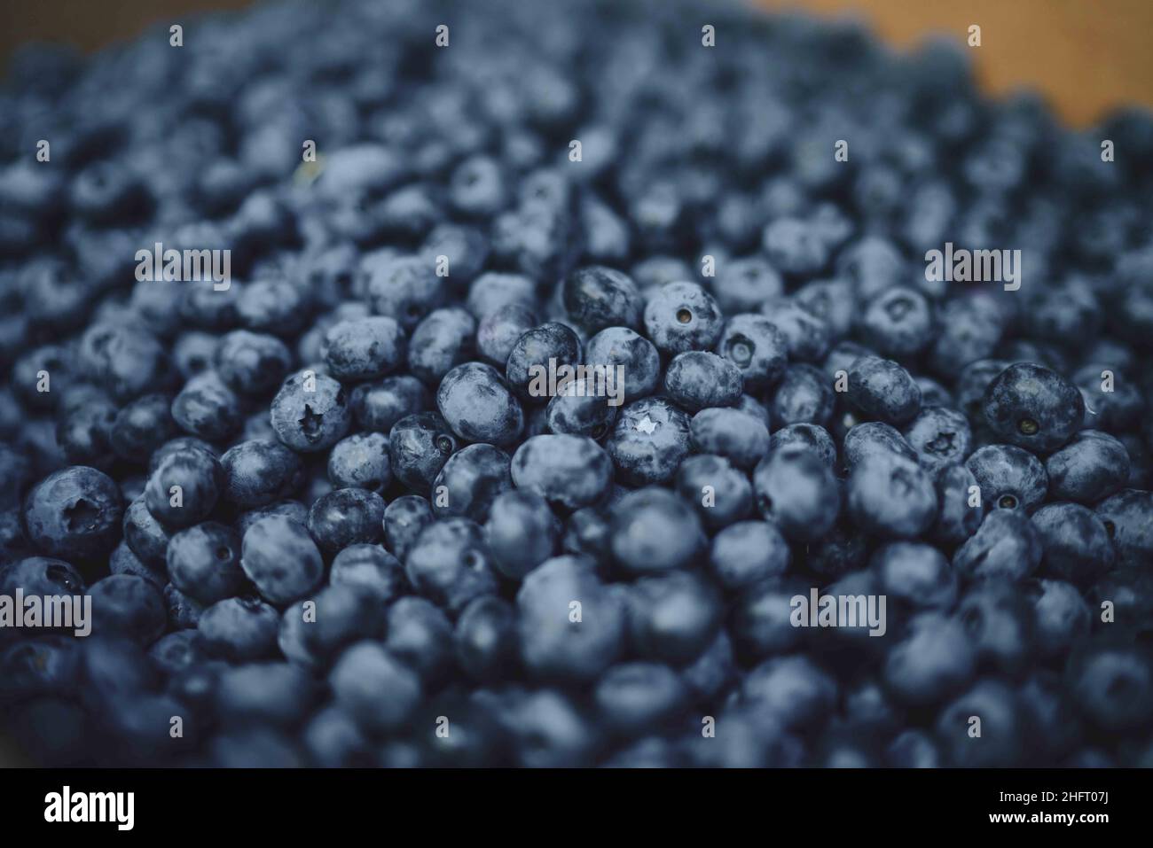 Closeup Blueberries Fresh Picked in Box Stock Photo