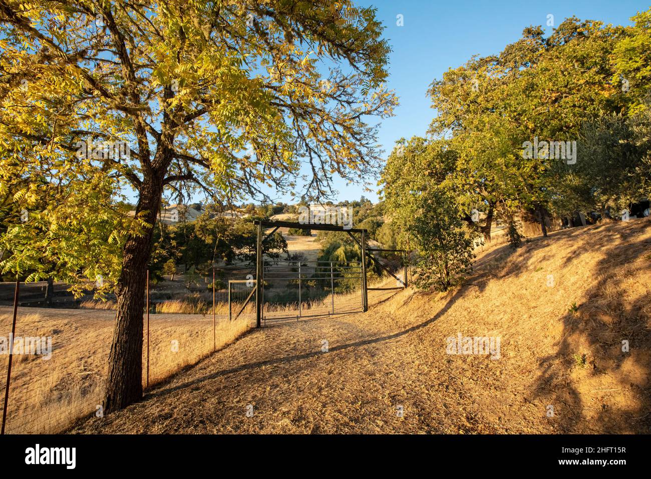 Gate on ranch in Mendocino County, Northern California, USA Stock Photo