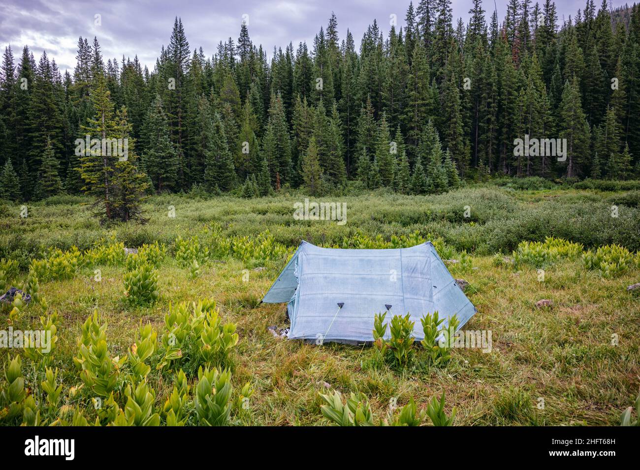 Tent camping in the Eagles Nest Wilderness, Colorado Stock Photo Alamy
