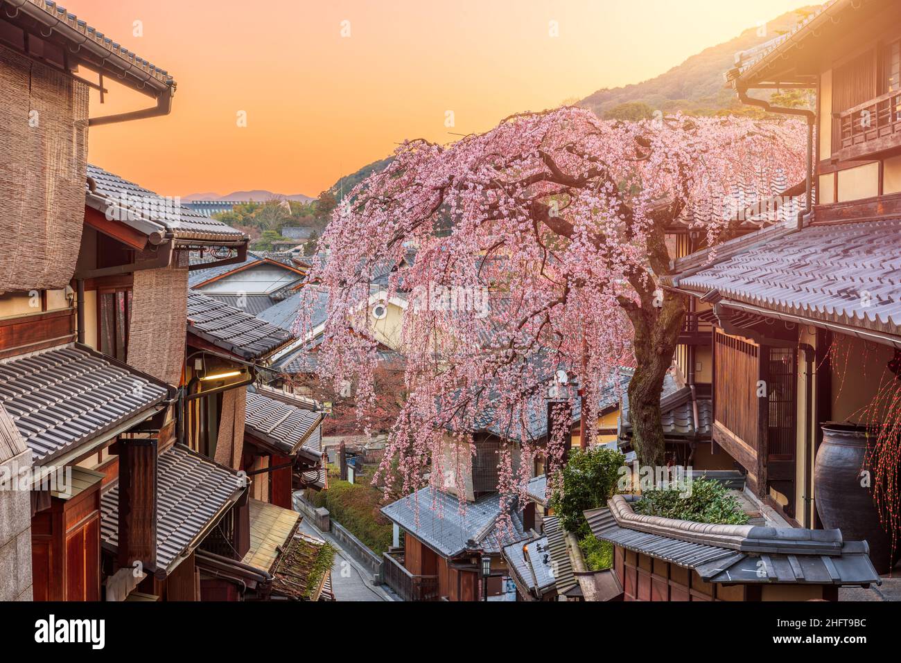 Kyoto, Japan springtime in the historic Higashiyama district art dawn. Stock Photo