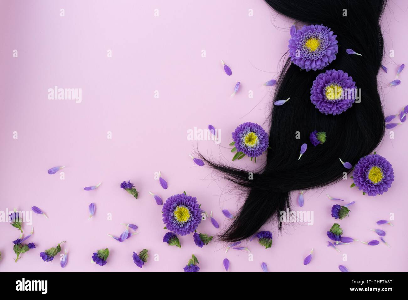 Black hair with lilac flowers and petals on it. Hair care concept. Stock Photo