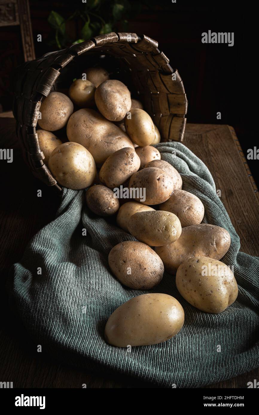 Potatoes from the garden in a basket on a rustic wooden kitchen table ...