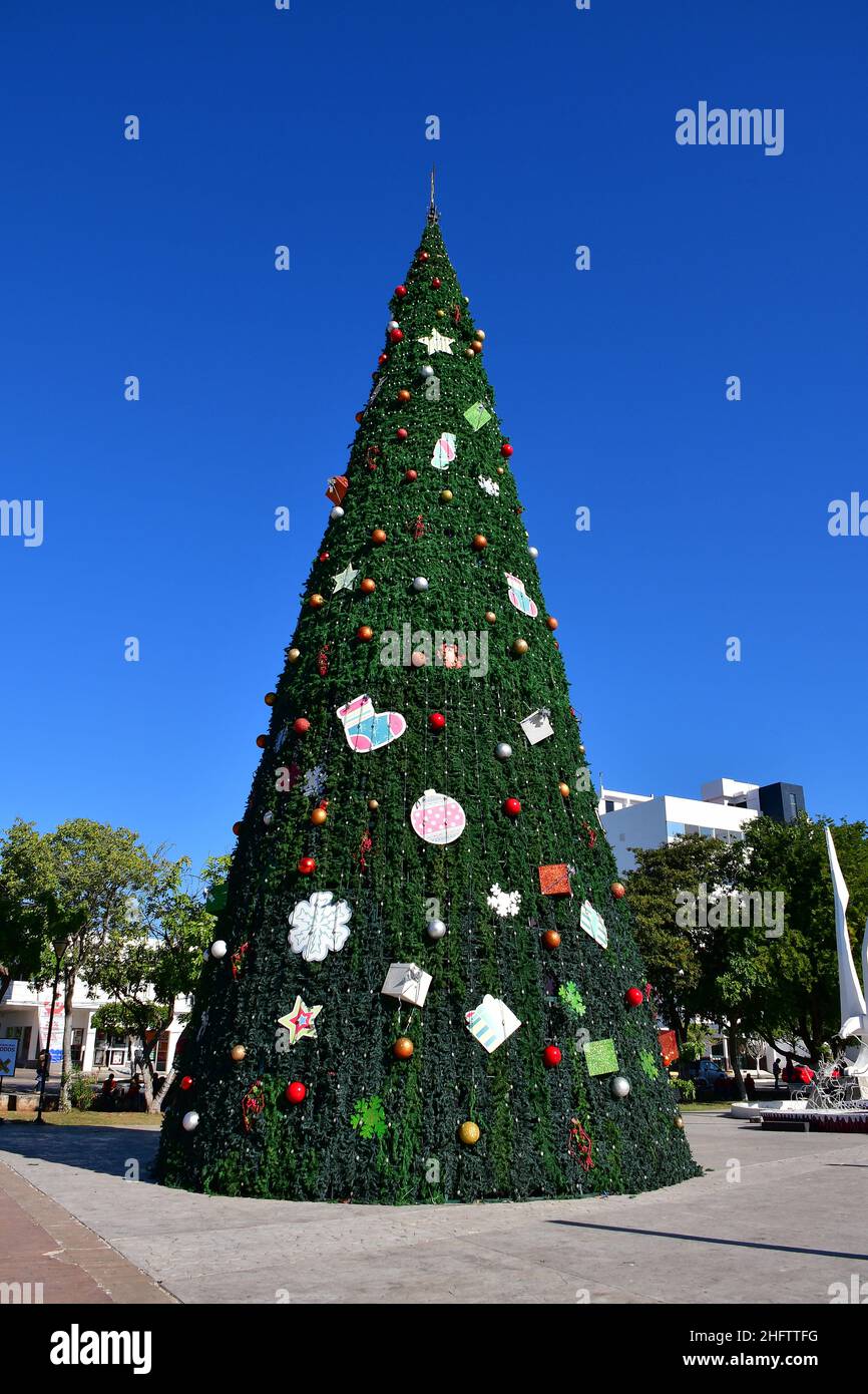 Christmas tree, San Francisco de Campeche, state of Campeche, Mexico, North America, UNESCO