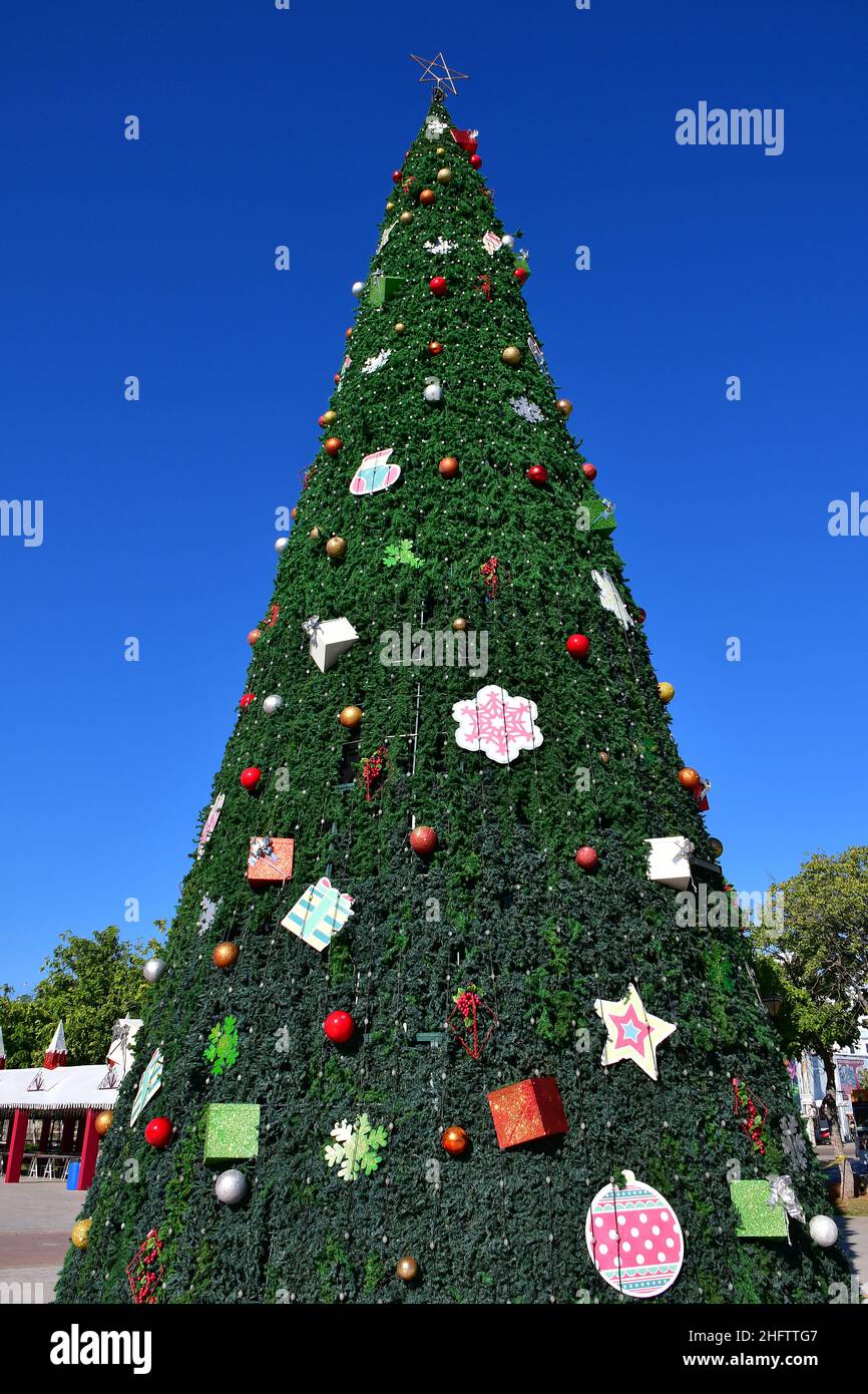 Christmas tree, San Francisco de Campeche, state of Campeche, Mexico, North America, UNESCO