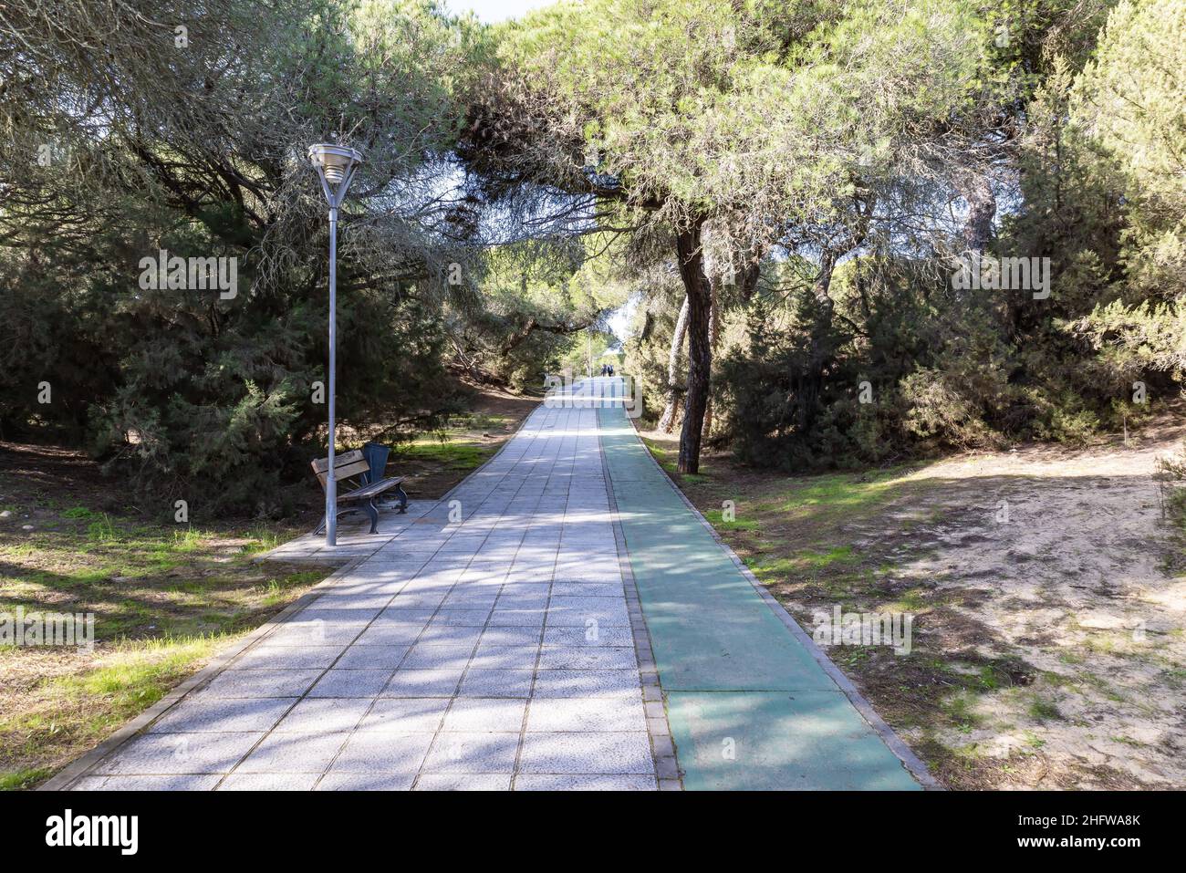 Pedestrian walk and bike lane between the pine forests of Portil beach in Punta Umbría Huelva Stock Photo