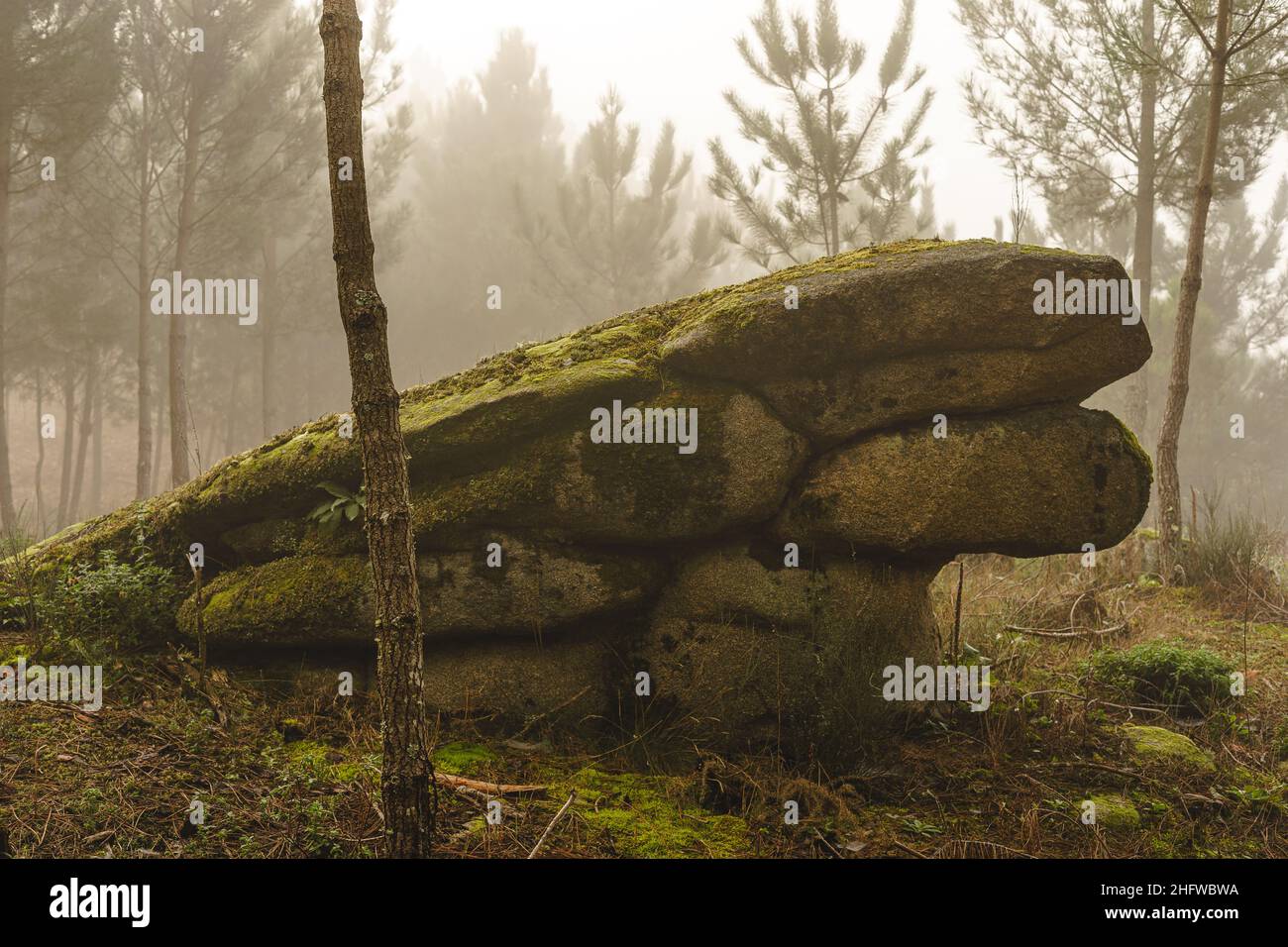 Old Forest Rocks Formation granite stone rock hi-res stock photography and images - Alamy