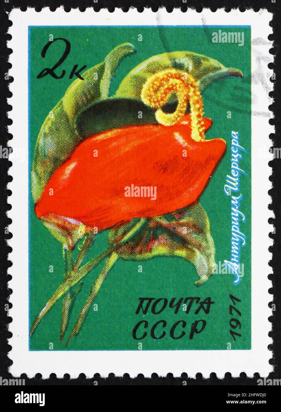 RUSSIA - CIRCA 1971: a stamp printed in the Russia shows Flamingo