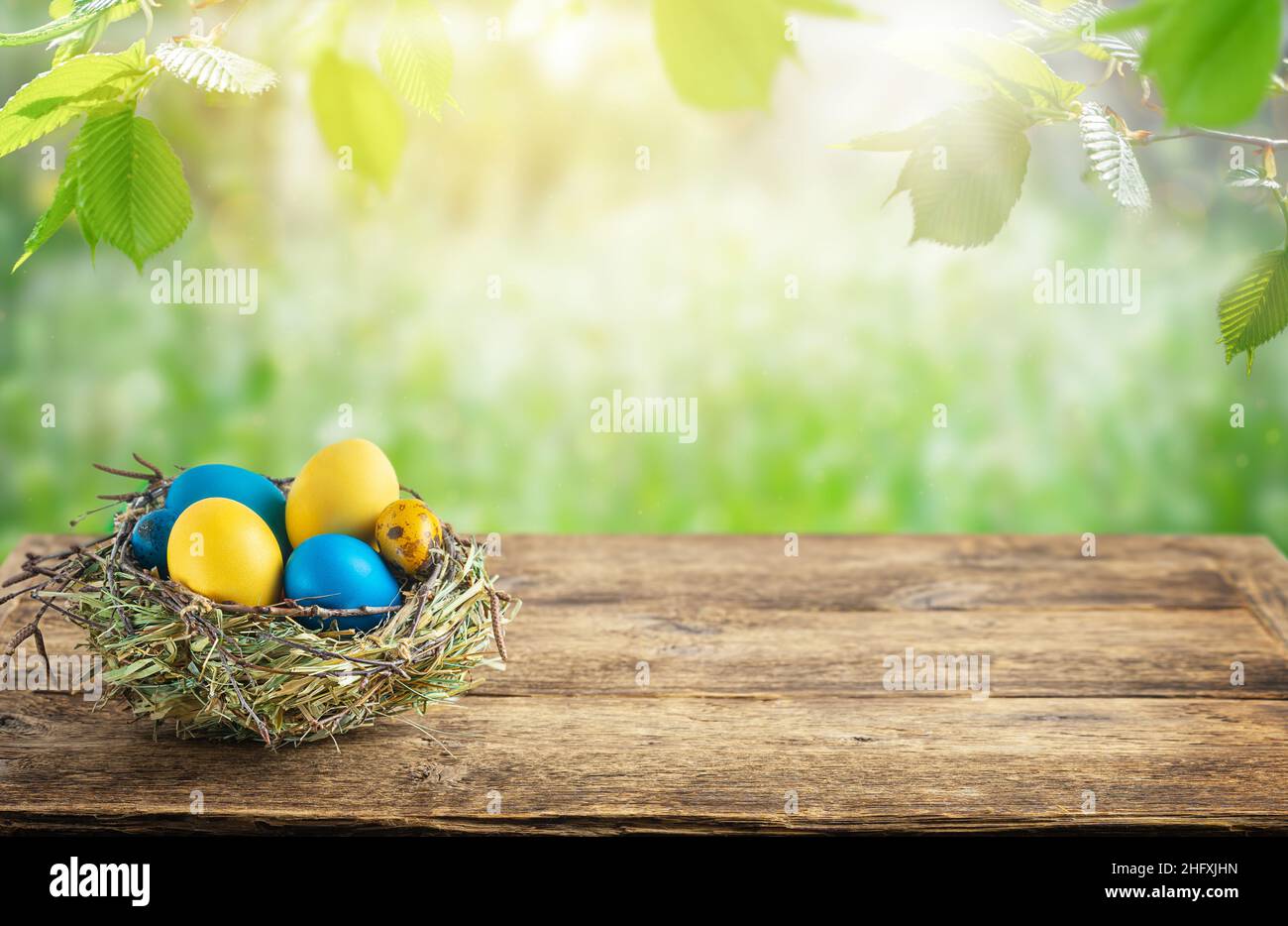 Easter eggs in the green nest on wooden table on blurred natural bakground. Copy space Stock Photo
