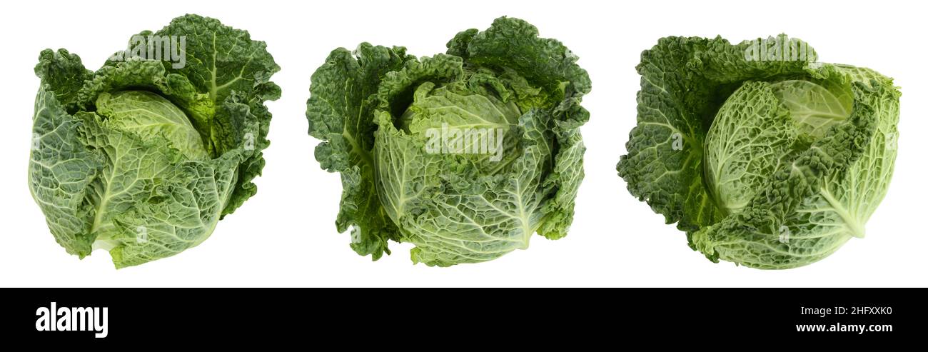 Savoy cabbage isolated on white background with full depth of field ...