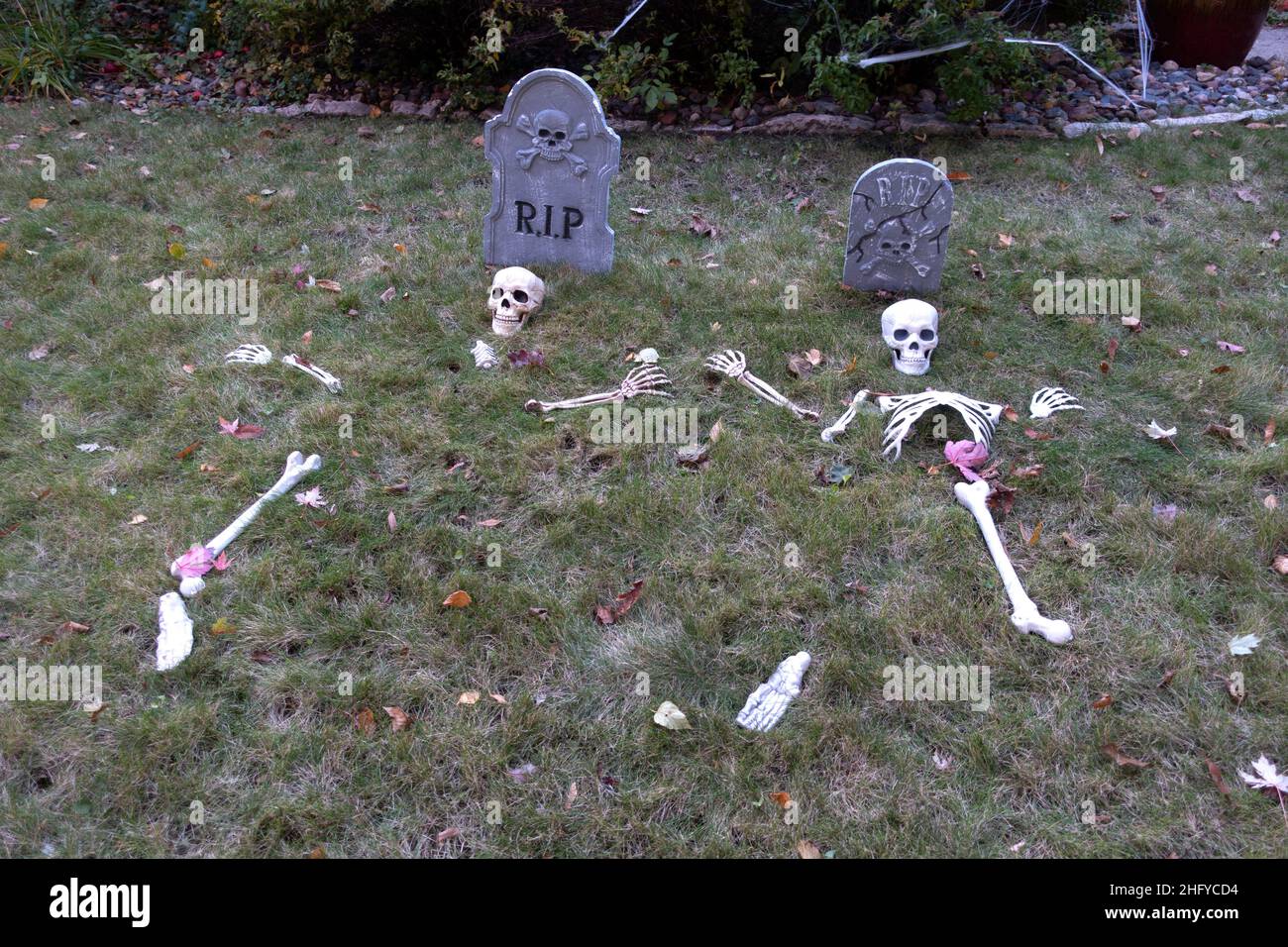 Dismantled skeletons rising from their graves near their tombstones, don't forget that these are Halloween decorations. St Paul Minnesota MN USA Stock Photo