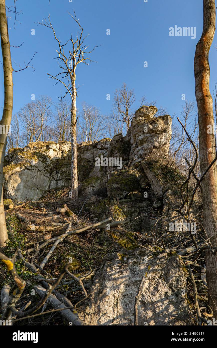 Exposed Rocks By Clearing Shrubs And Trees, Zechsteinriff Altenburg Pößneck, Saale-Orla-Kreis, Thuringia, Germany, Europe Stock Photo