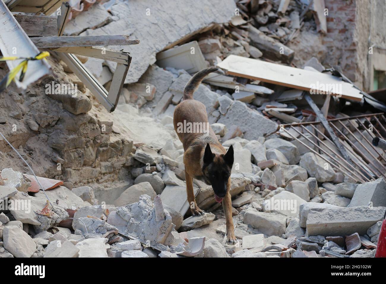 La protezione hi-res stock photography and images - Alamy, image size:1300x956