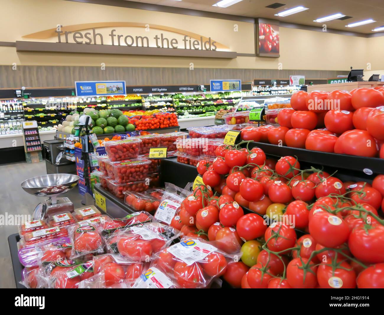 Produce Section of Grocery Store Stock Photo