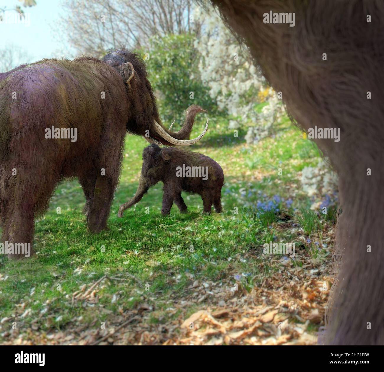 An illustration focused on a baby woolly mammoth surrounded by her ...