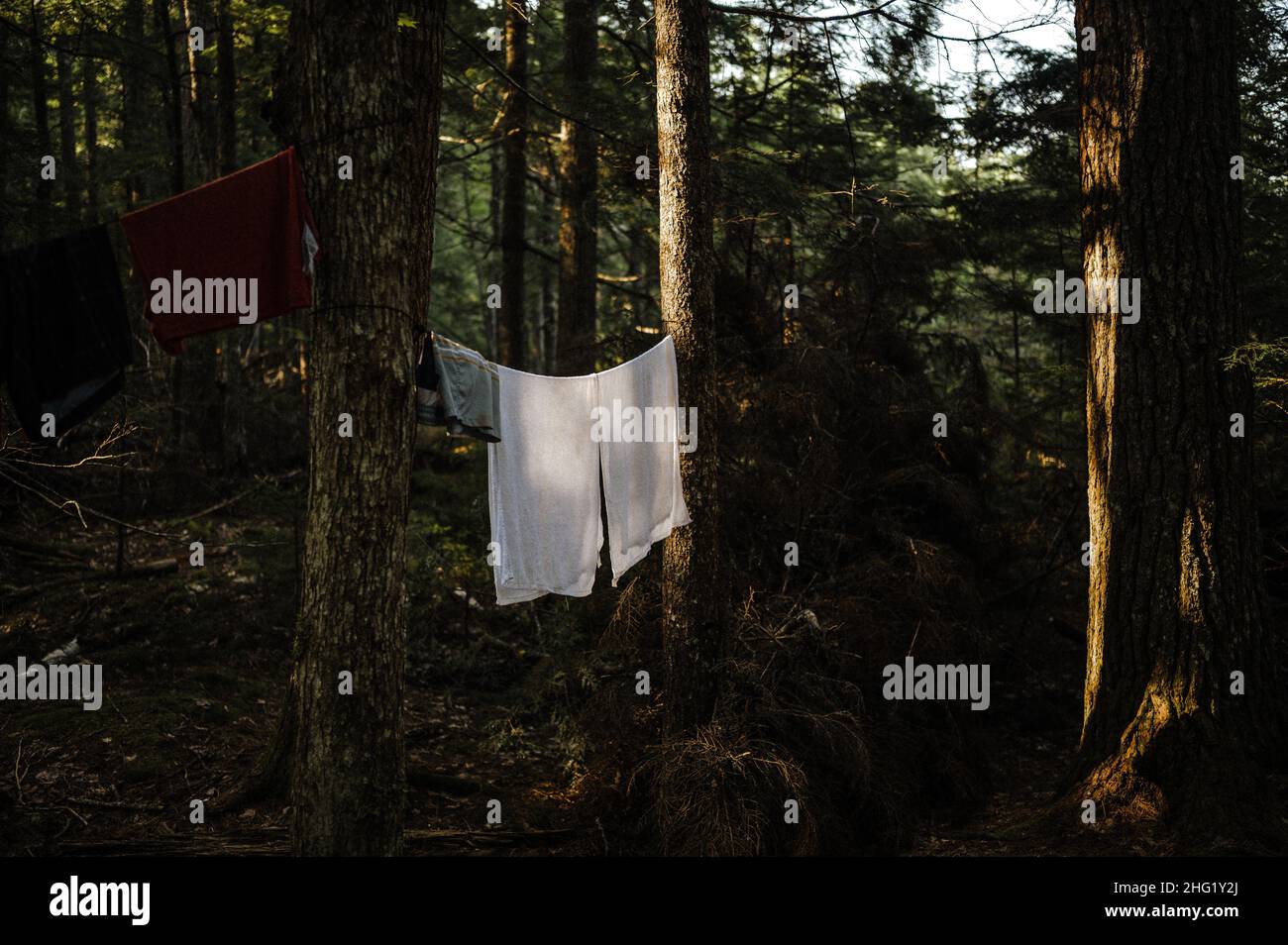 two white towels drying in the golden hour sun while camping Stock