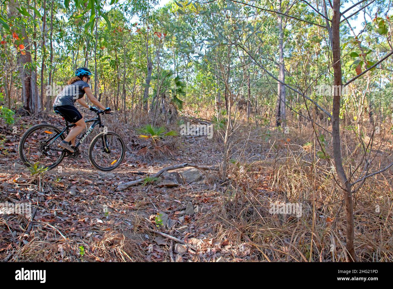 Charles darwin national park australia hires stock photography and