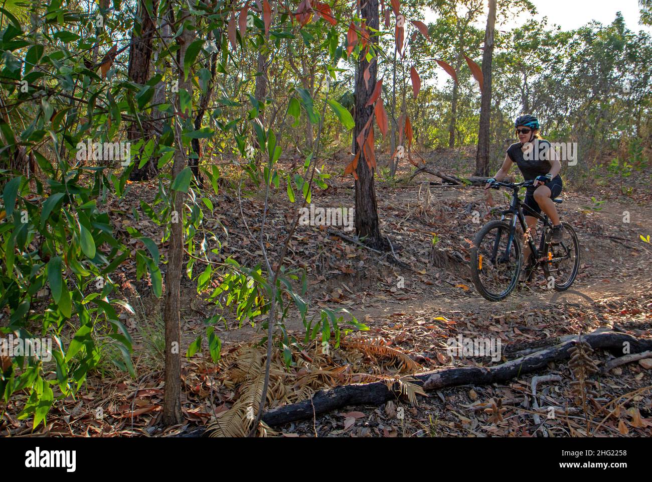 Charles darwin national park hires stock photography and images Alamy
