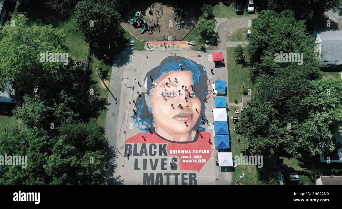 USE OF FORCE THE POLICING OF BLACK AMERICA, Black Lives Matter mural